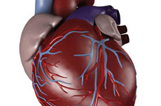 Диагностика и лечение сердечной недостаточности